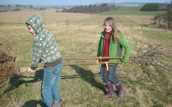 Kinder pflanzen einen Apfelbaum