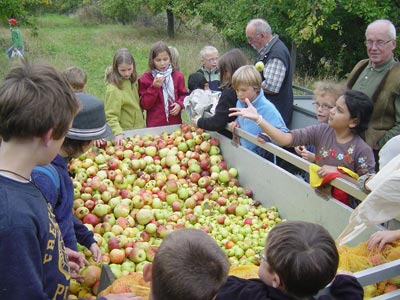 Streuobstwiesen an Grundschulen
