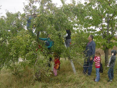 Streuobstwiesen an Grundschulen