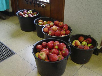 Streuobstwiesen an Grundschulen