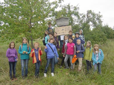 Streuobstwiesen an Grundschulen